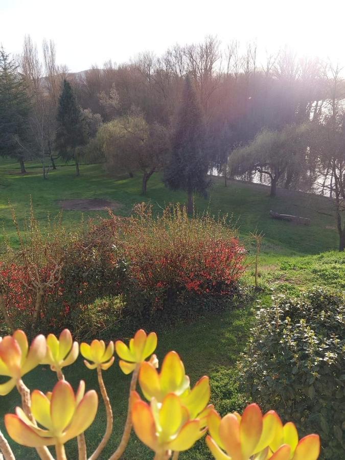 Beautiful Village House Next To Garonne River! Couladere Exteriör bild